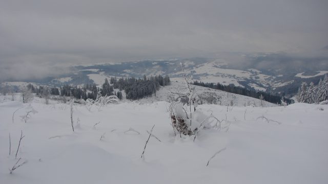 42.ročník Strieborná podkova Krivá